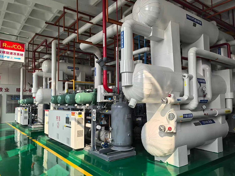 CO₂ Subkritische koelcompressoreenheid